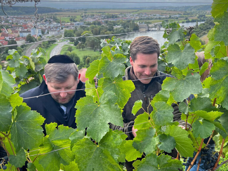 Manuel Hagel bei der Weinlese Koscherer Wein